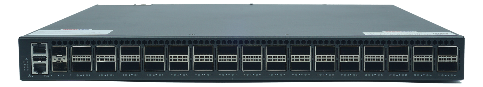 Allium DC405-BH