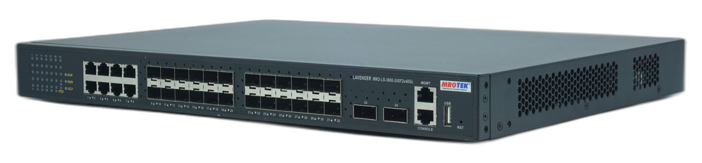 LAVENDER MRO-LS-3600 series (40G uplink Layer 3) view 2