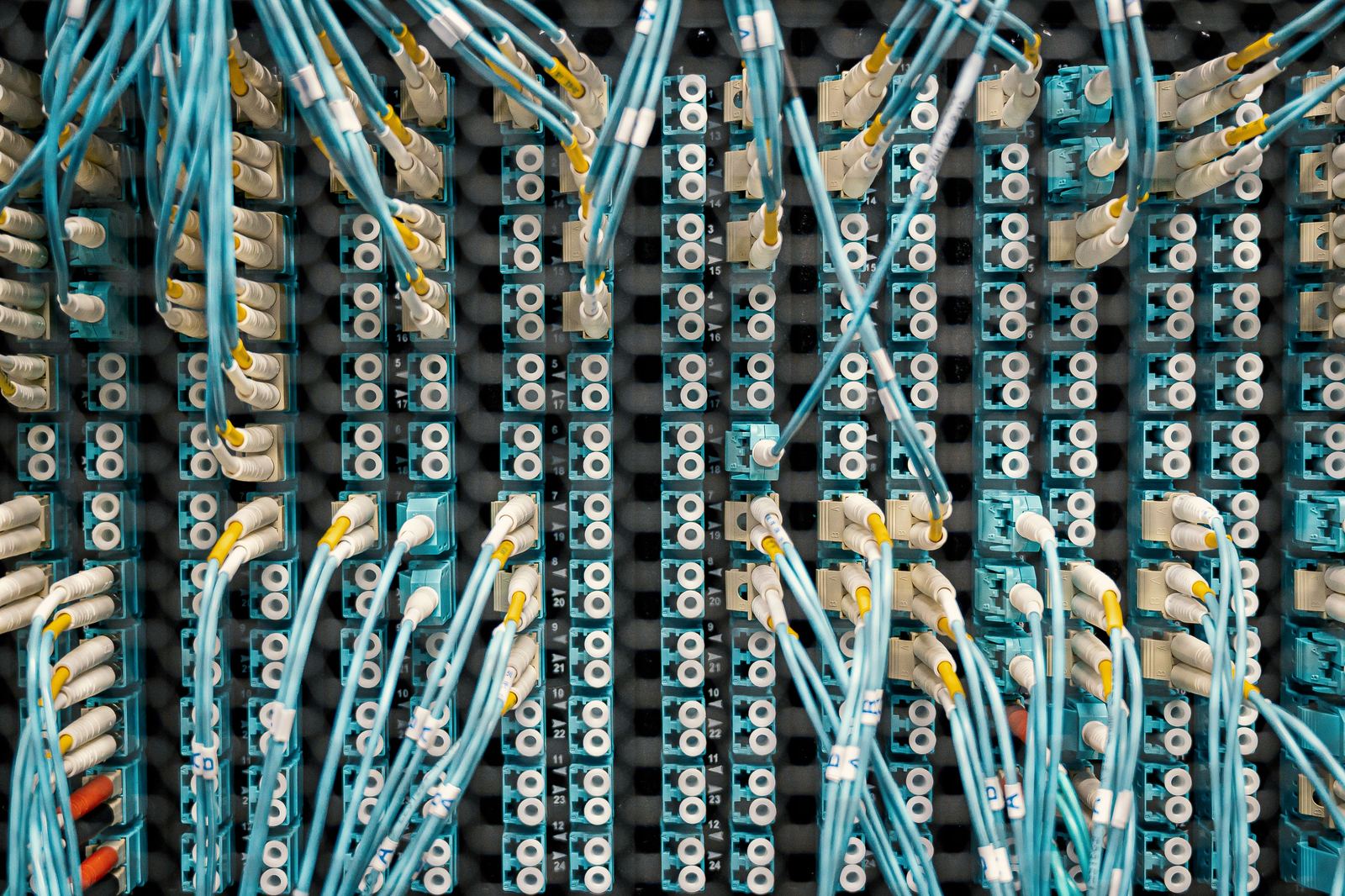 Close-up of a fiber patch panel with dozens of cables connected